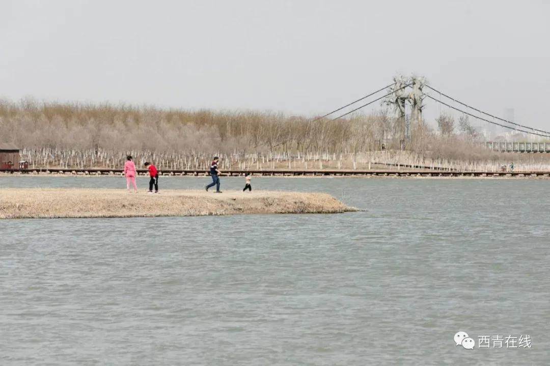 天津东疆港亲海公园今天开放吗,天津将新添一座公园预计开放时间