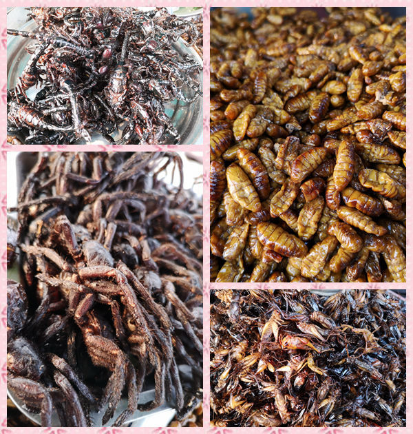 柬埔寨暹粒市旅游攻略,旅游柬埔寨必读完整攻略指南