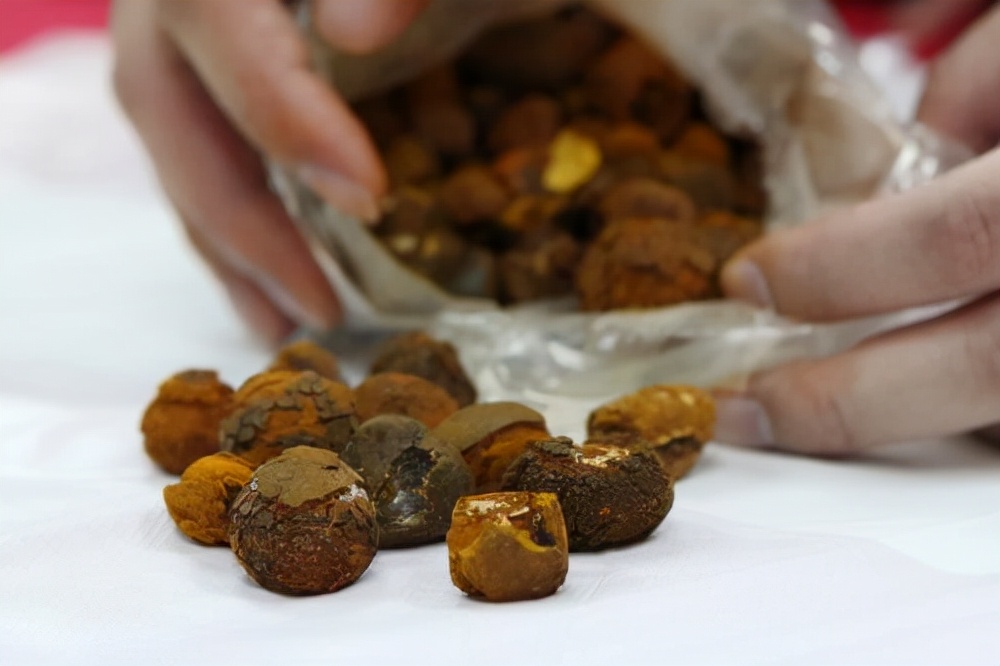 安宫牛黄丸为什么那么牛,牛黄与安宫牛黄丸的区别