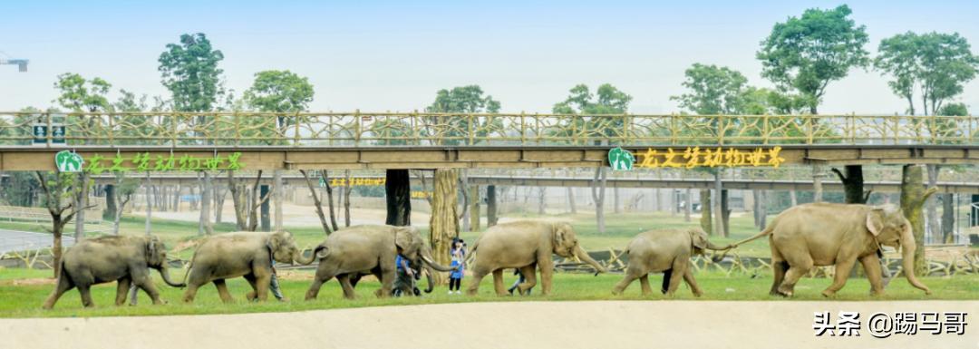 湖州龙之梦度假之旅,湖州龙之梦值得一去