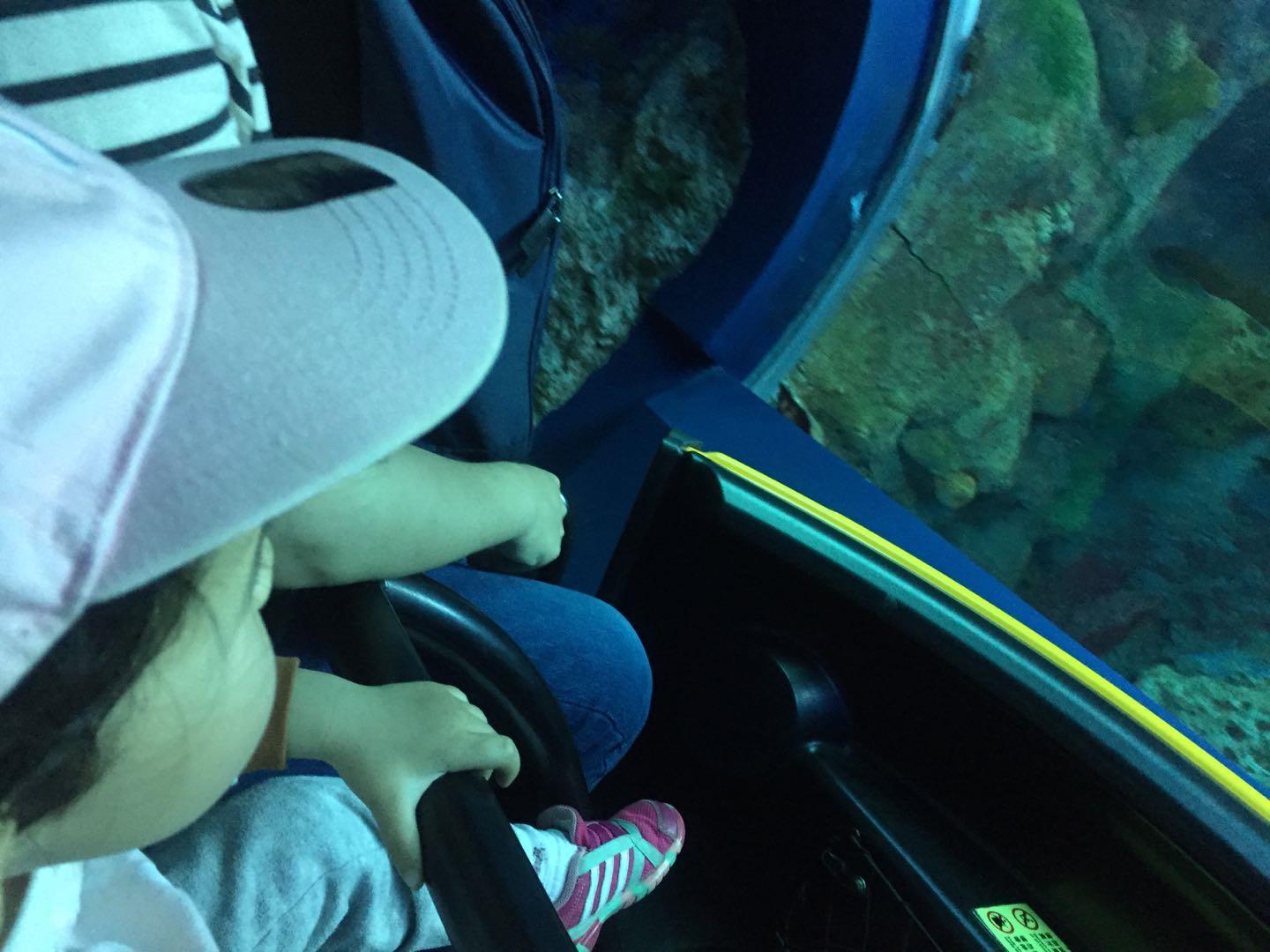 珠海长隆海洋王国附近美食,珠海长隆海洋王国官网预约