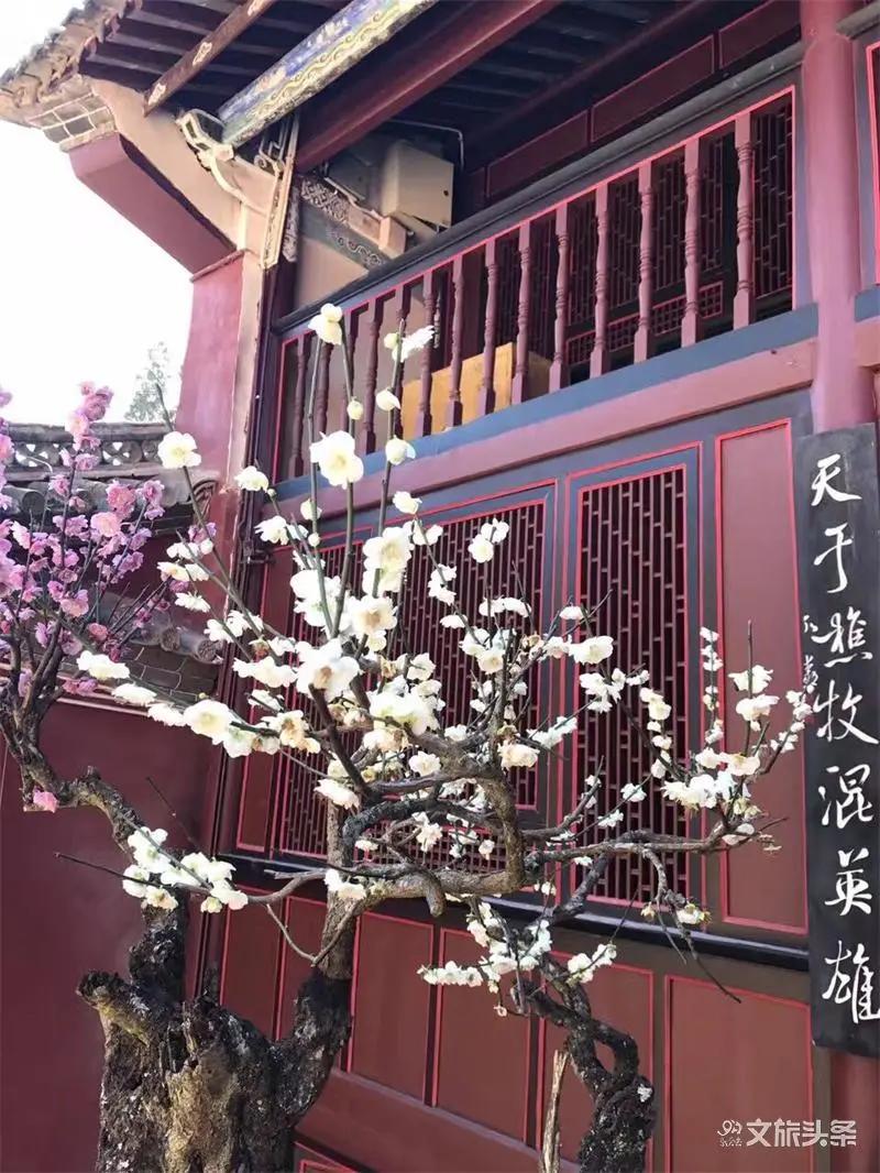 瞧！这花花世界谁不爱