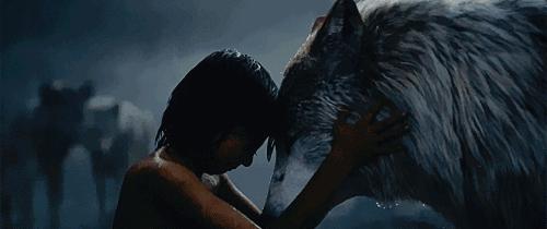 英语电影磨耳朵6-12岁,英语听力电影