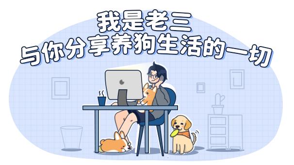 狗狗第一次来姨妈很肿,狗狗第一次来姨妈拉肚子