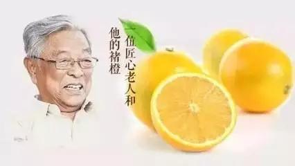 农产品该怎么营销,农产品品牌营销十大误区