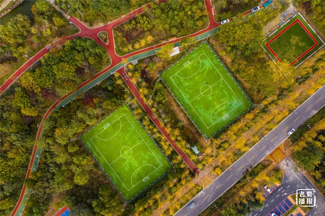 洛阳一大型网红公园免费开放,洛阳湿地公园网红打卡地