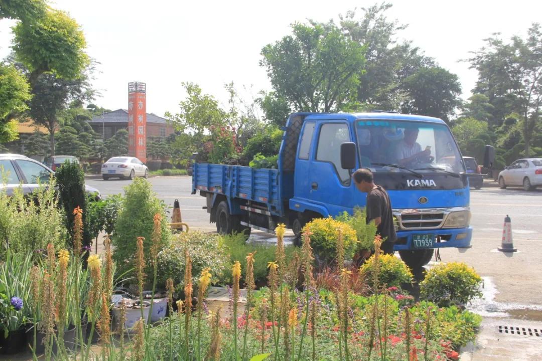 花展的意义,花展布展情况介绍