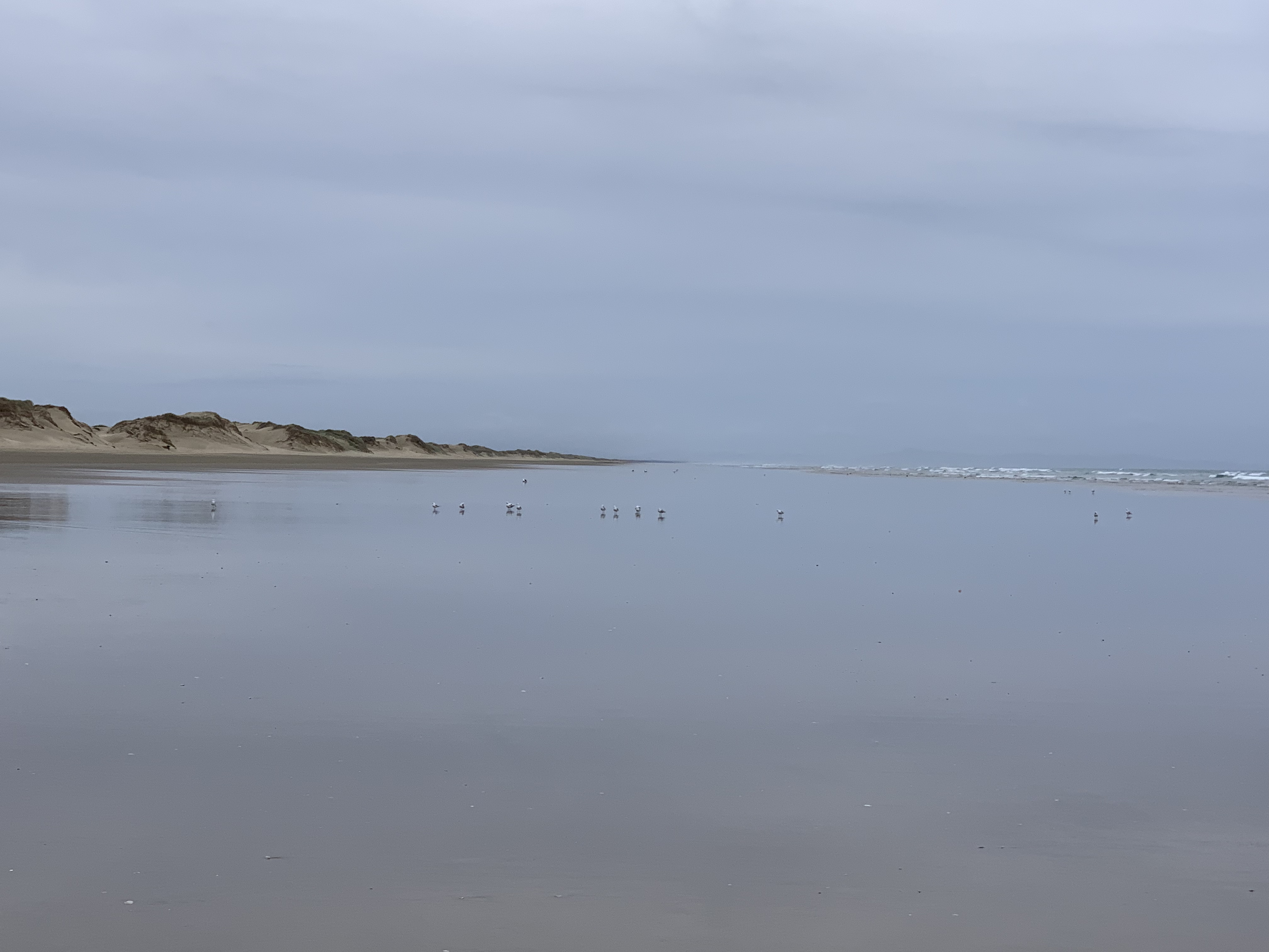 生活在新西兰有多幸福,生活在童话里的国家