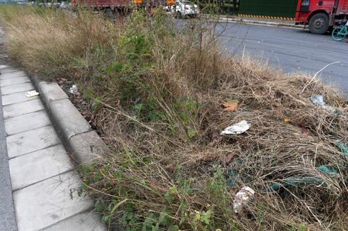 垃圾堆、破围挡、1米高的杂草、……郑州东站附近颜值亟待提升