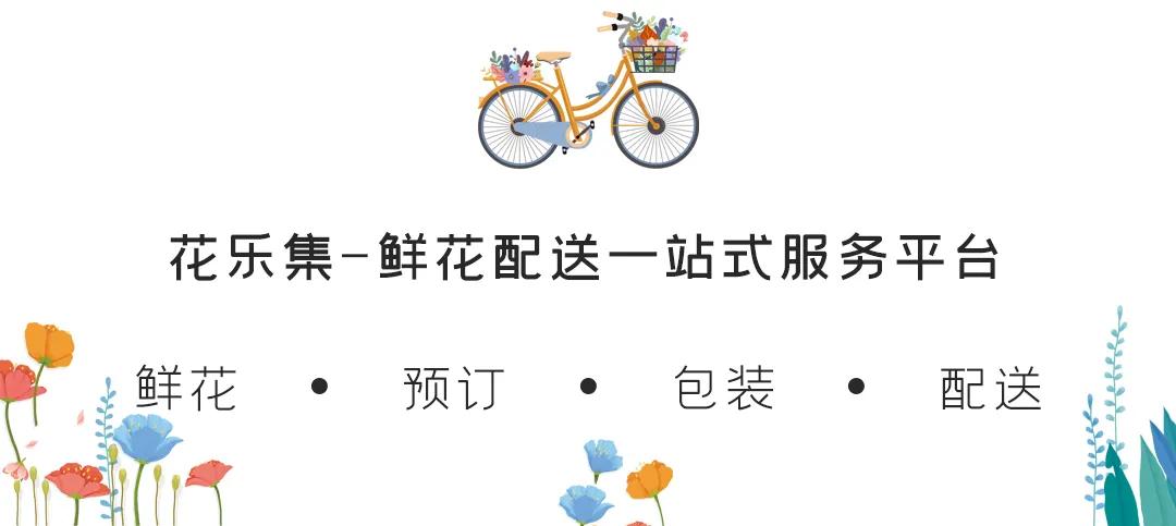 网上订花最好的网站,鲜花批发网站哪家靠谱