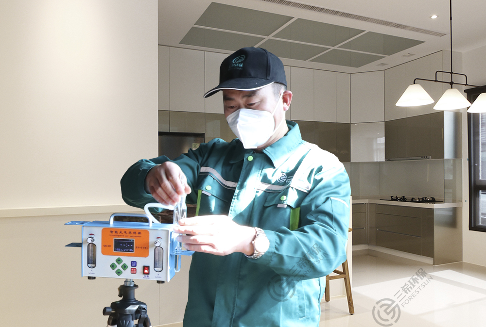 室内除甲醛的植物哪个最好,室内除甲醛十大排名有哪些