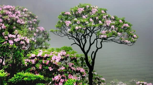 浙江有哪些有瀑布的旅游景点,浙江旅游景点推荐瀑布