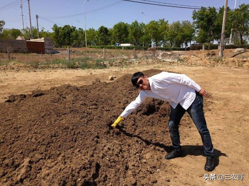 乡村干什么最有前景赚钱,农民打工最赚钱的方法排行榜