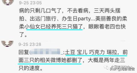 北京小公主靠吸猫血成百万大V，直播整容、大照骗、2年养死3只猫