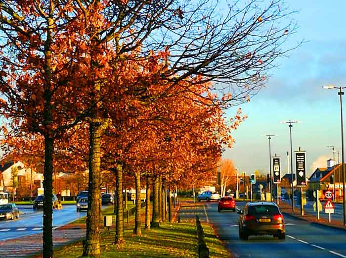 英国纽卡斯尔旅游攻略大全,英国曼彻斯特游记