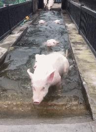 同事让我假装是她男朋友,女生让我假装她男朋友去见同事