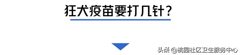 如被猫狗咬伤或抓伤应如何处理,被猫狗咬伤在多少小时之内打疫苗