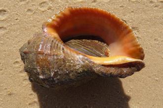 辽宁大连市城市排名,辽宁大连城市