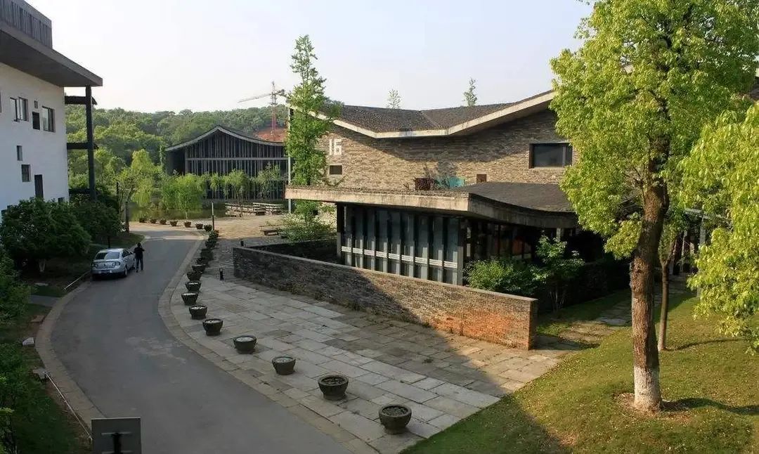 一字马女生罗子欣高考成绩,一字马女孩罗子欣抖音