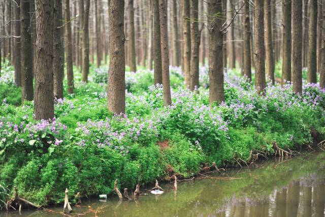 中国最美乡村Top10，有你家乡吗？