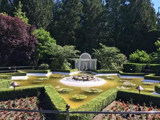 矿坑改造最美公园,矿坑改造湿地公园视频