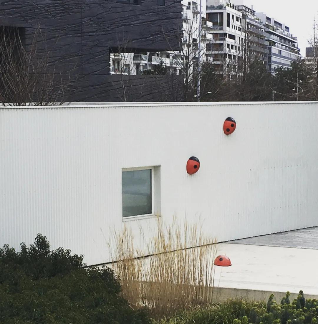 看了就想抱！这些“萌宠”温柔世界