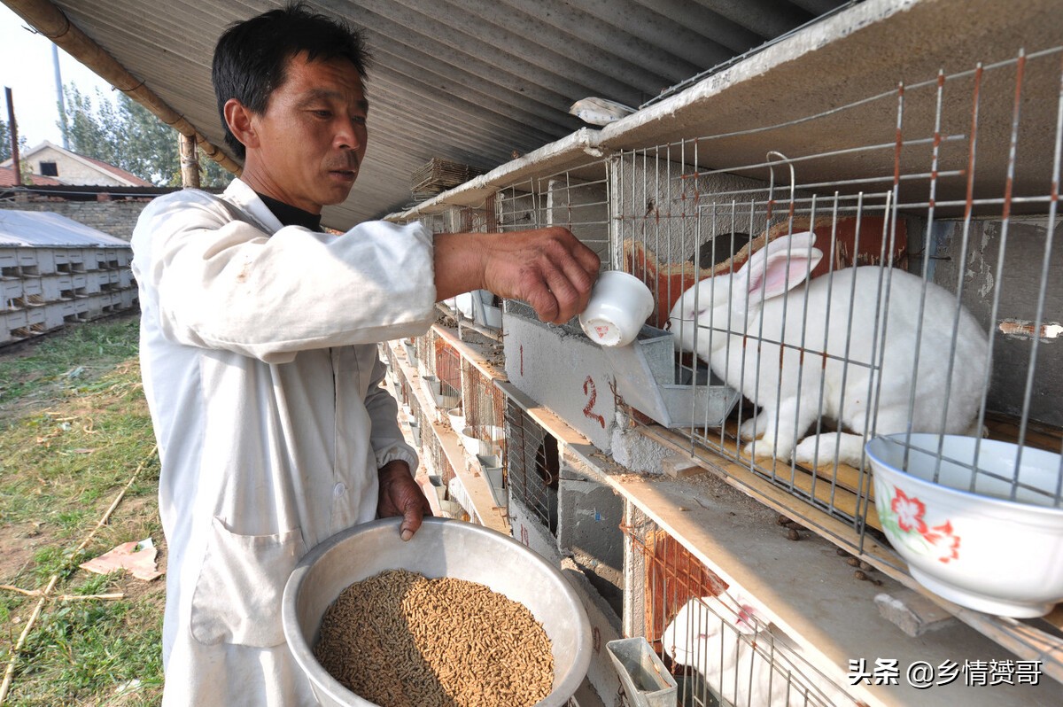 放弃打工开始创业,不想打工了回农村创业有哪些项目