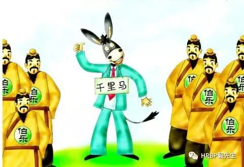 简历投递后没有回复怎么询问,简历投递后无人回应