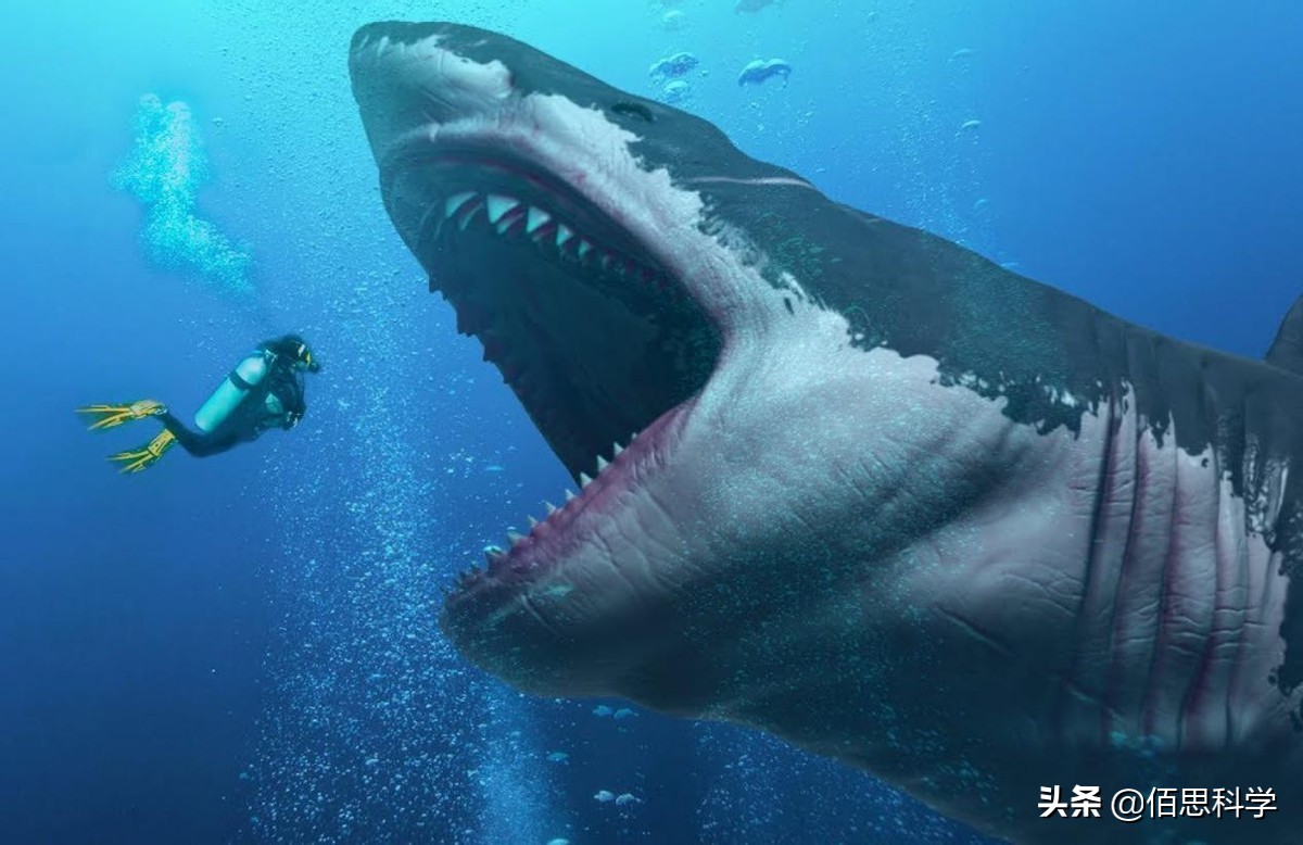 乌合麒麟给孟晚舟画的画图片,乌合麒麟孟晚舟作品解读