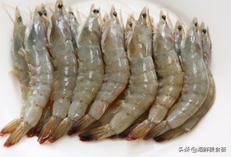 最好吃的海鲜城市排名,沿海城市海鲜又便宜又好吃