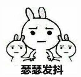 女子在湿地公园拍到豹子要吃乌龟，刚要感慨，没想到事情有了转机