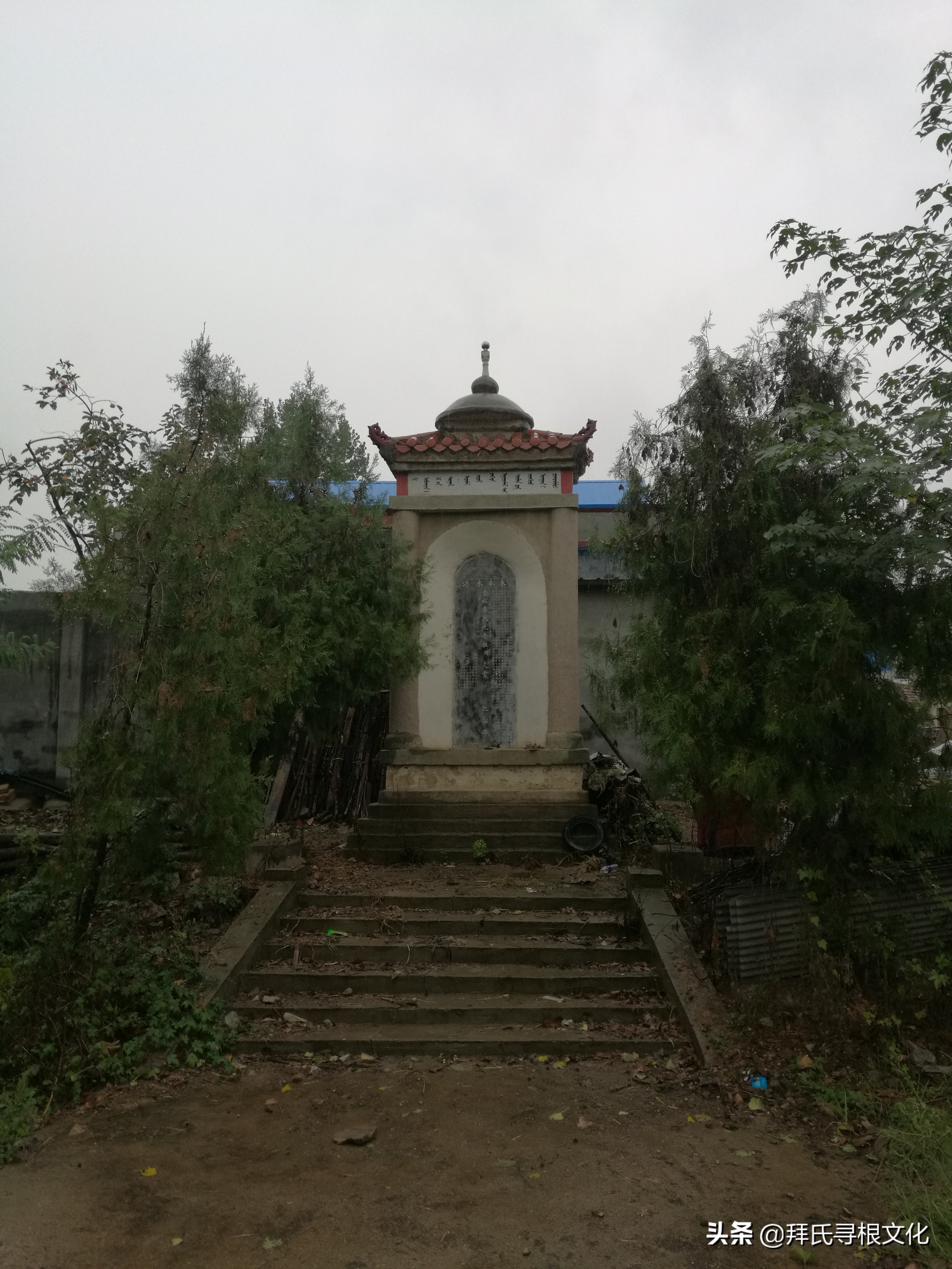 风雨泰和“转楼”