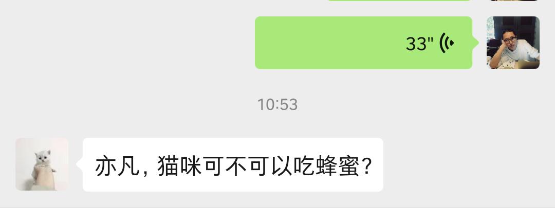 猫咪可以喝加蜂蜜的羊奶粉吗,猫咪低血糖可以用蜂蜜吗