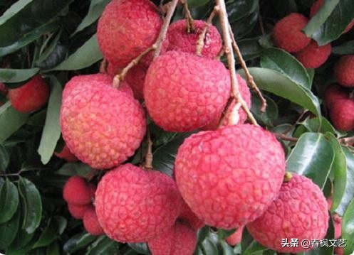 说说我们家乡有什么风俗,说说家乡话春节的特殊习俗