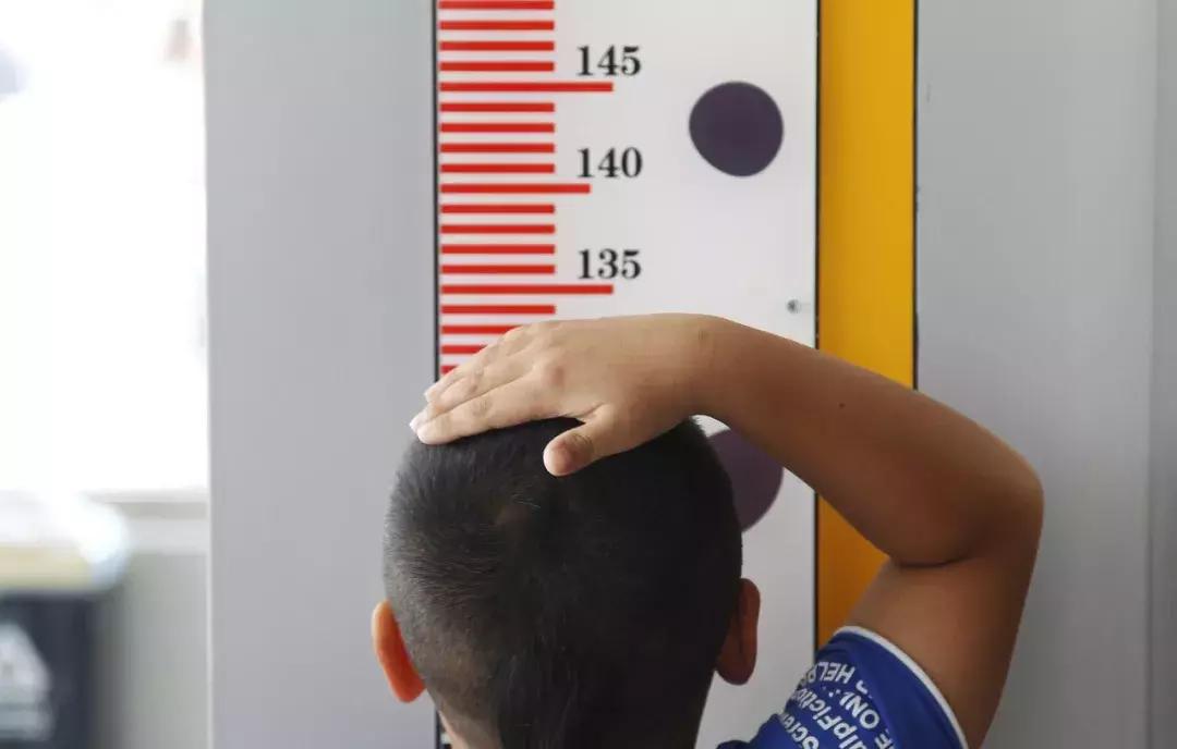 广东消委会起诉长隆！景区儿童票到底该按啥收费？