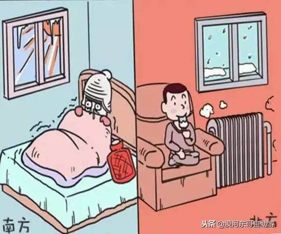 漠河极寒之旅,漠河遇到熊