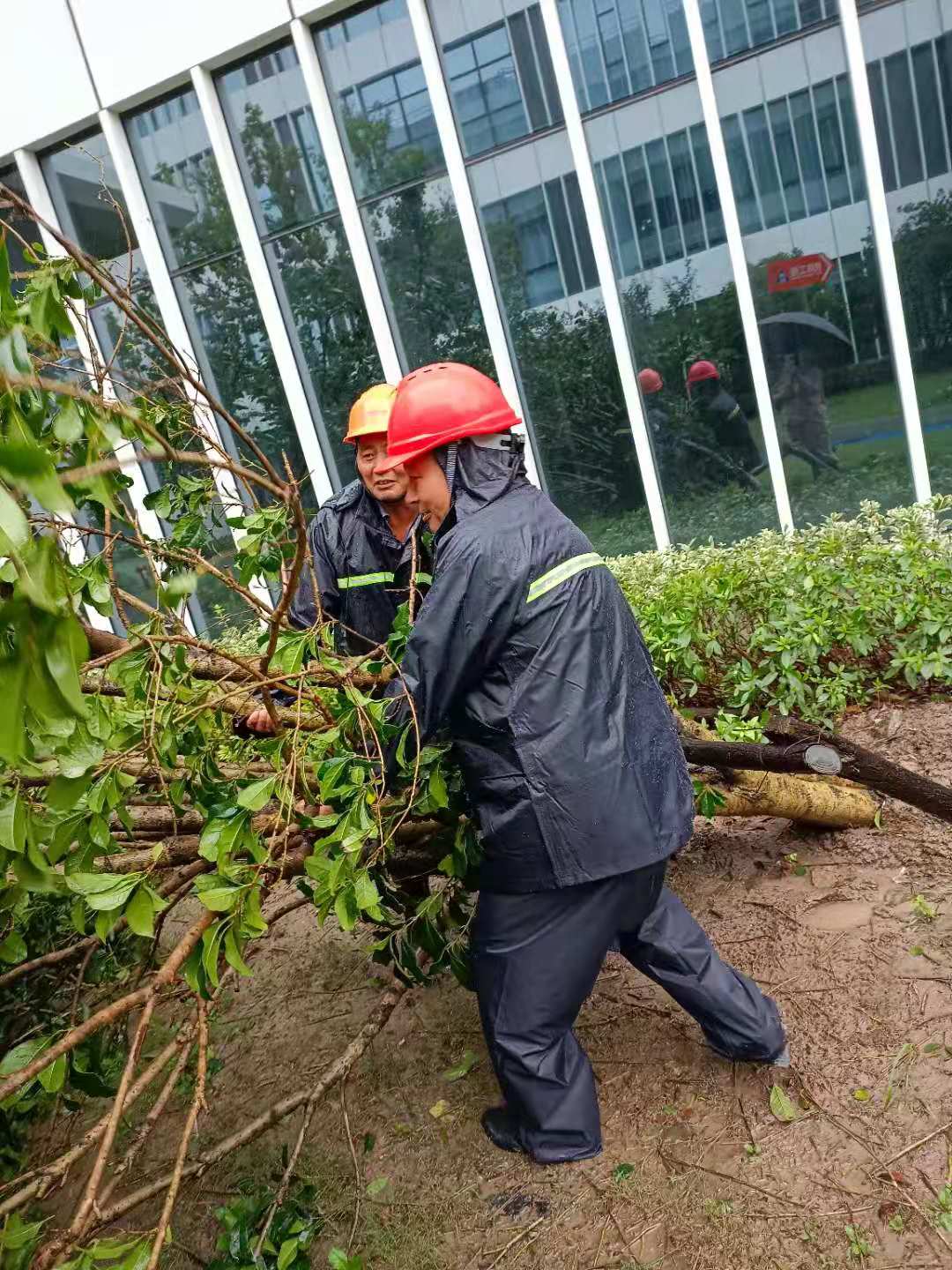 烟花来袭山东众志成城,烟花齐聚上海滩