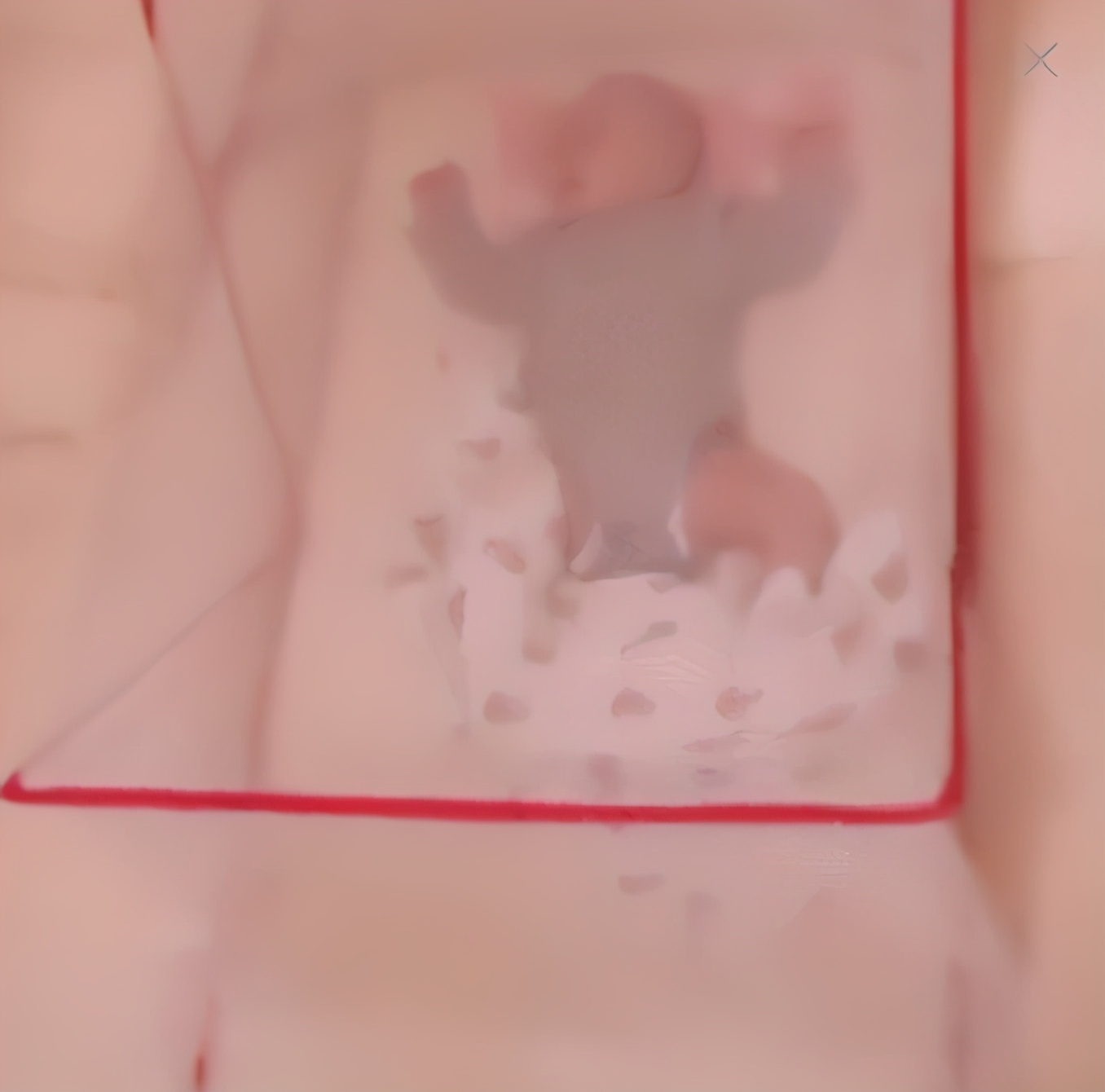 蚊子咬宝宝可以抹花露水吗,宝宝被蚊子咬了大包花露水有用吗