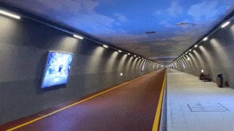 乘风破浪的珠海，到底有多猛？造桥、修路、招商、纳才，真真拼了