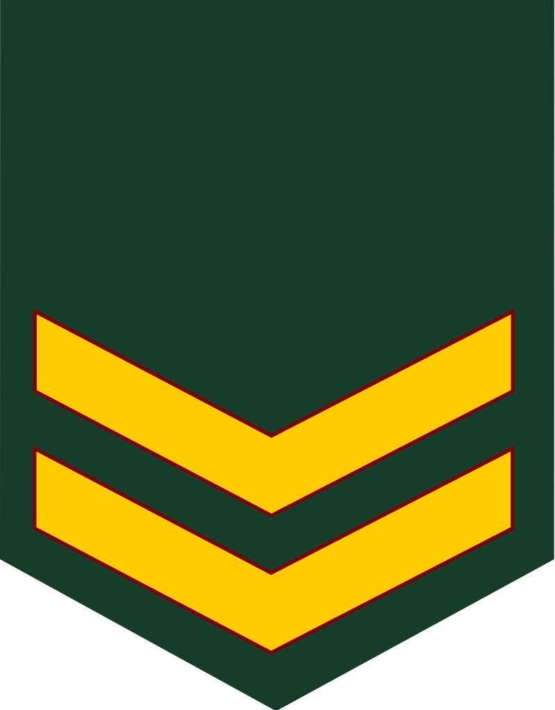 各国军衔标识韩国,马来西亚军衔等级对照表