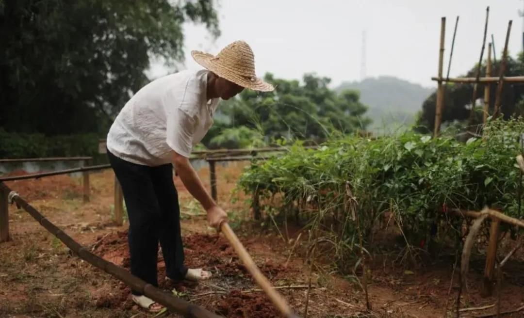 年仅20岁北美高材生张一得自杀去世，网红单亲爸爸遭质疑