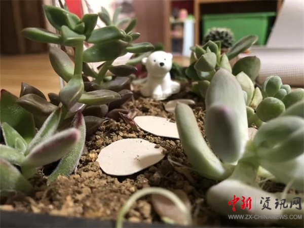 ISQS|全课程的魅力！国小学生在《秘密花园》中寻找成长的魔法！