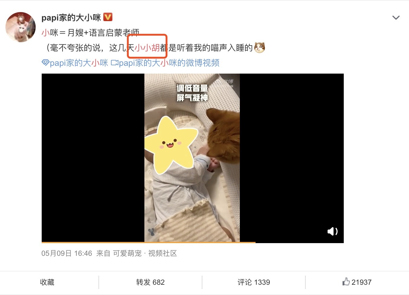 papi酱谈生孩子原因,papi酱孩子随父姓被骂热搜