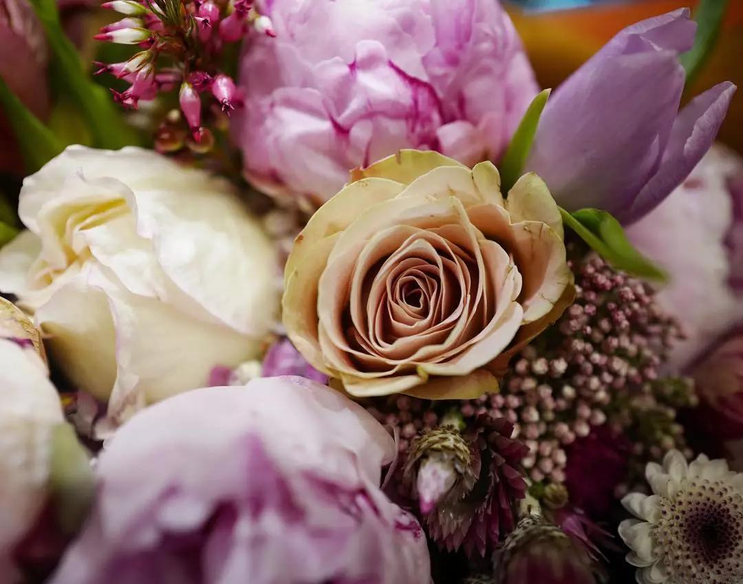 这些泰国明星的隐藏技能比专业厉害！好看皮囊和有趣灵魂真能共体