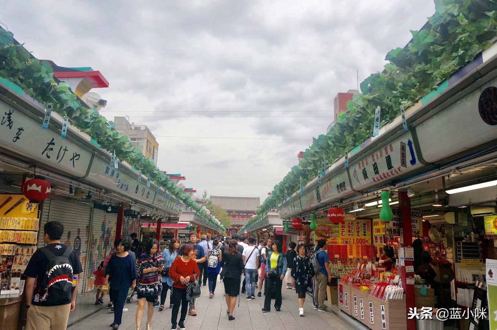 日本自由行7天看富士山,东京自由行攻略东京富士山自由行