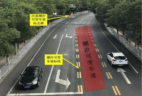 交警提醒这5种标线请铭记于心,马路上这几种标线代表啥意思
