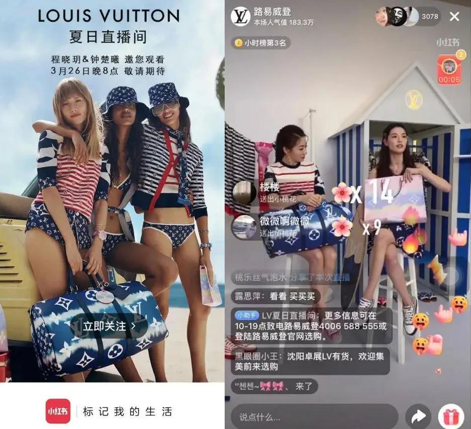 拿下蓝血顶奢的首播，为何小红书直播还是那么糊？波普娱乐分析