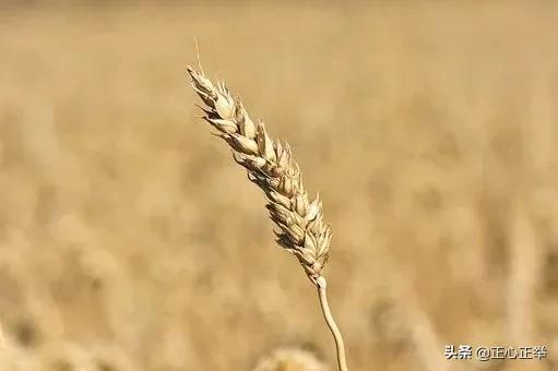 七种思维模式决定你人生的高度,思维的高度和深度指的是什么