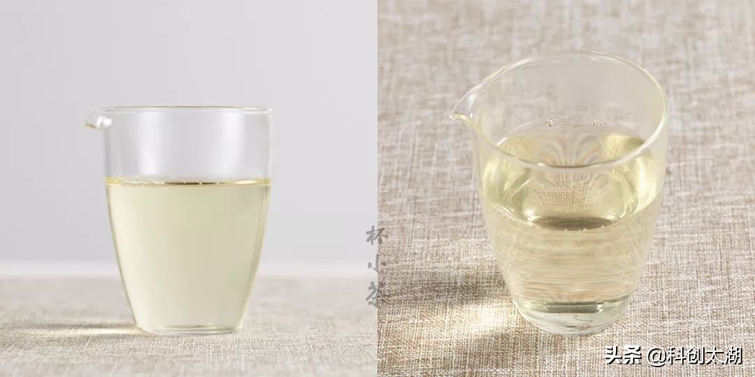 什么茶泡茶最好喝,哪些茶用开水冲泡好喝又健康