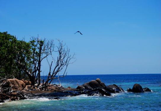 惠州置业指南,惠州市置业规划